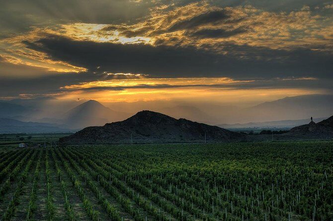 Group tour: Khor Virap, Noravank, Areni Winery and Cave - Hin Areni Winery: ancient grape roots, modern processing, and a tasting included