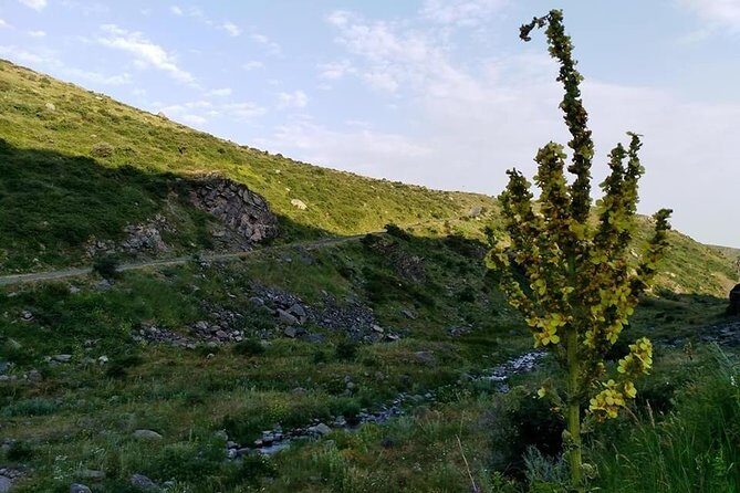 Mount Aragats, Amberd Fortress, Saghmosavank Monastery, Alphabet - private tour - Key Highlights You’ll Feel the Moment You Land in the Car