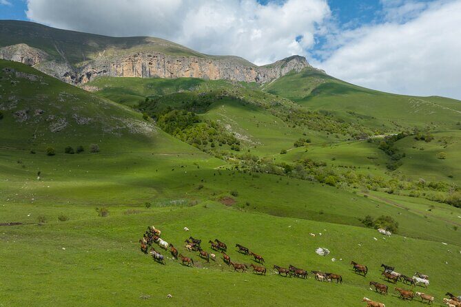 Off Road Tour to Dimats Mount Dilijan Armenia - Key highlights that matter before you book