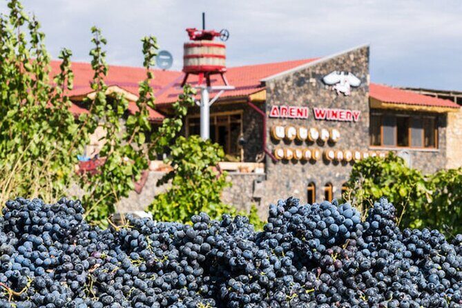 Private Tour to Khor Virap, ancient Areni cave or Areni winery, Noravank - Areni wine factory tasting: Armenia’s winemaking origin story