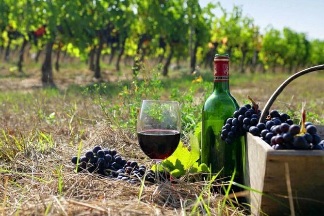 Private wine tour to Khor Virap, Areni winery, Noravank - Key Highlights You’ll Feel Right Away