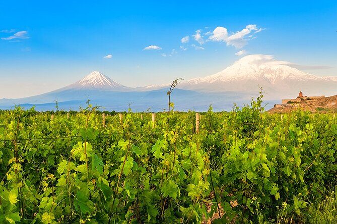 Tatev & Shaki Waterfall Guided Group Tour with Wine Tasting - Food and drink: what’s included, what’s extra, and how to avoid the long-day crunch