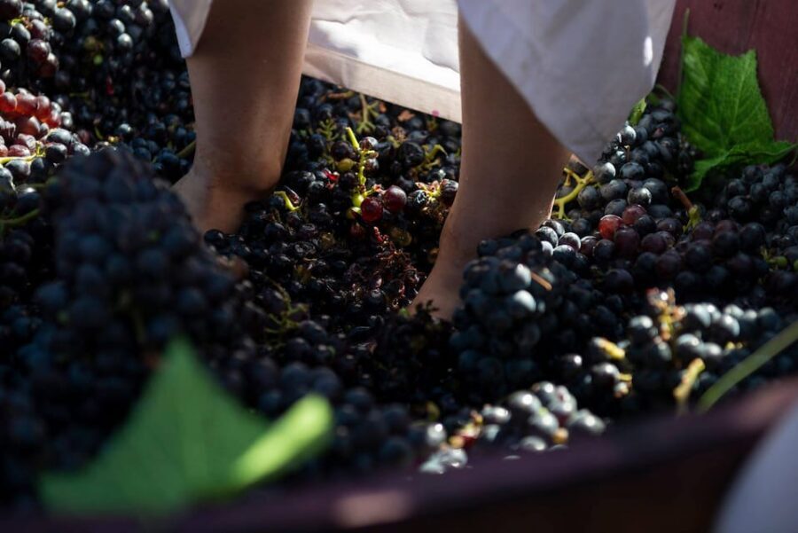 Yerevan: Khor Virap Day Trip with Mount Ararat Wine Tasting - Key Things That Make This Day Trip Worth It