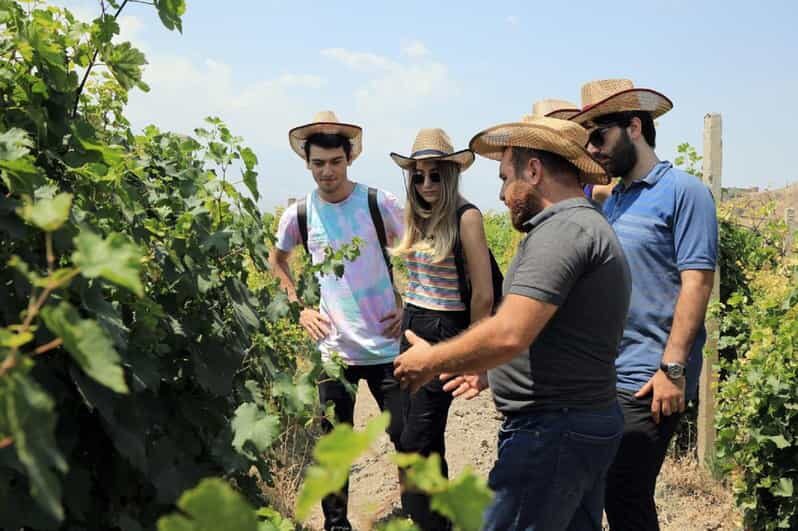 Yerevan: Khor Virap Day Trip with Mount Ararat Wine Tasting - Your Guide: The Real Secret Sauce (Including Arto)