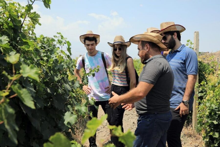Yerevan: Khor Virap Day Trip with Mount Ararat Wine Tasting - A 5-Hour Private Day Trip That Doesn’t Waste Your Time