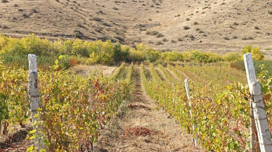 Yerevan: Khor Virap Day Trip with Mount Ararat Wine Tasting - Who This Tour Fits Best (And Who Might Want Something Else)